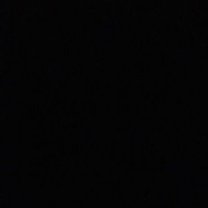 Meet your Posher, Ty